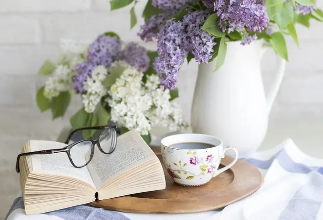 Comment Bien Choisir Son Vitrage Pour Un Remplacement Efficace