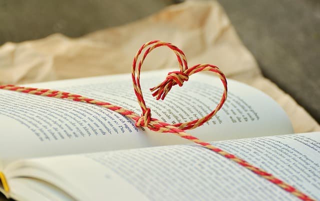 Comment estimer le coût de remplacement de vitre efficacement