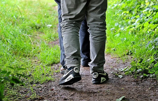 Étapes clés pour un remplacement de vitre sécurisé et efficace